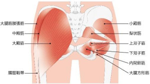 股関節ストレッチ